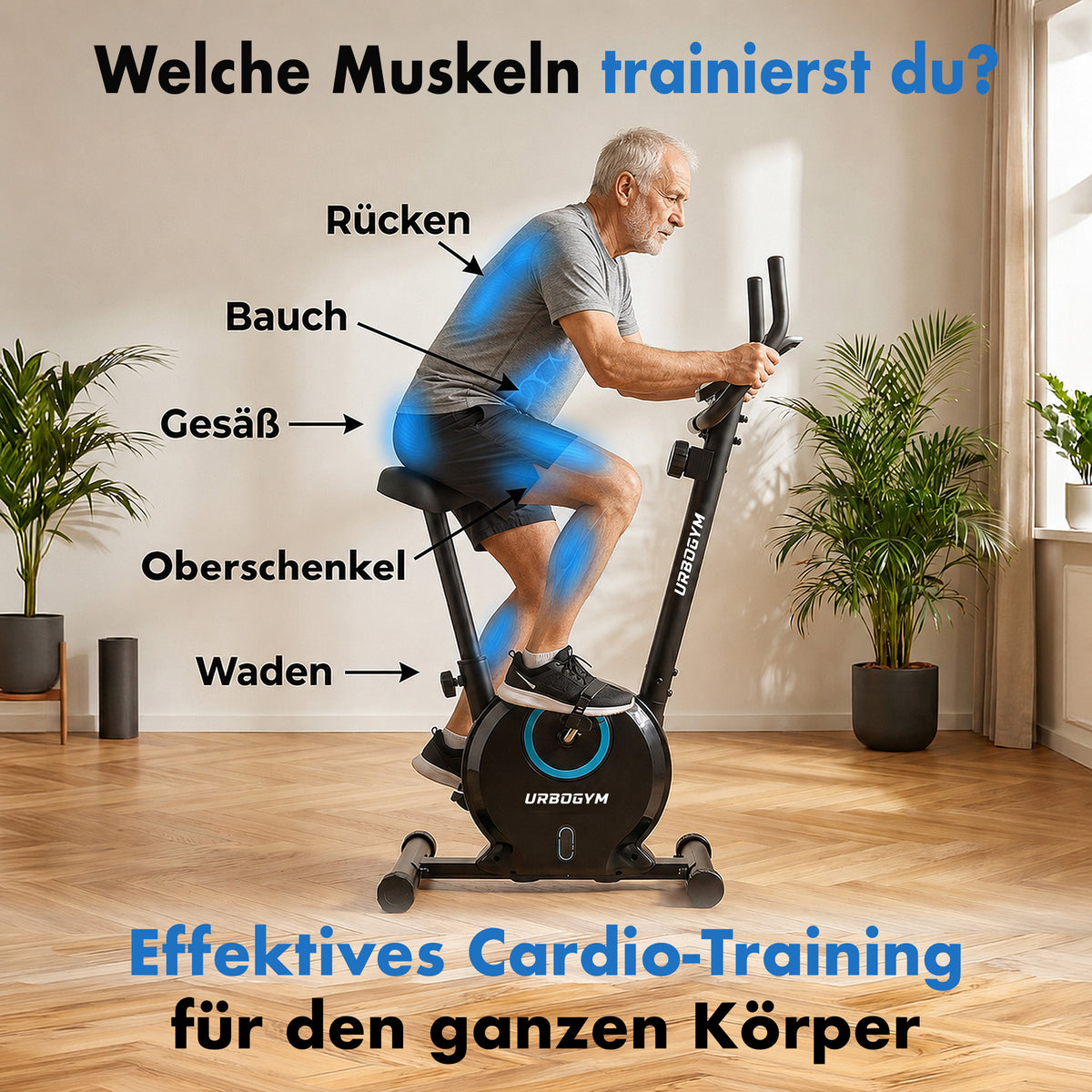 Heimtrainer Bay Blue