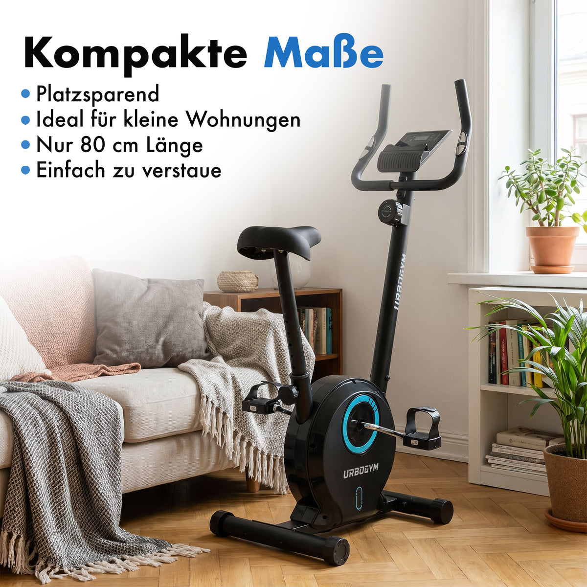 Heimtrainer Bay Blue