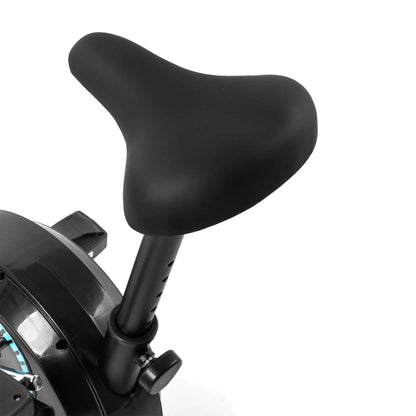 Heimtrainer Bay Blue