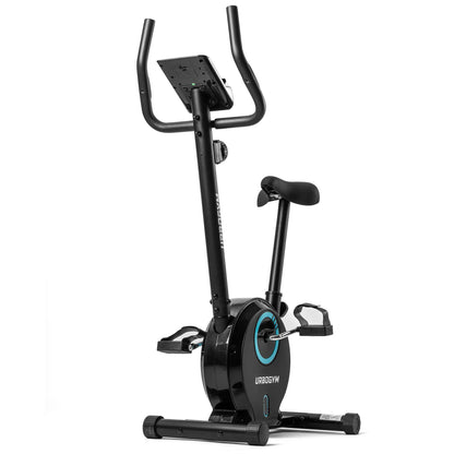 Heimtrainer Bay Blue