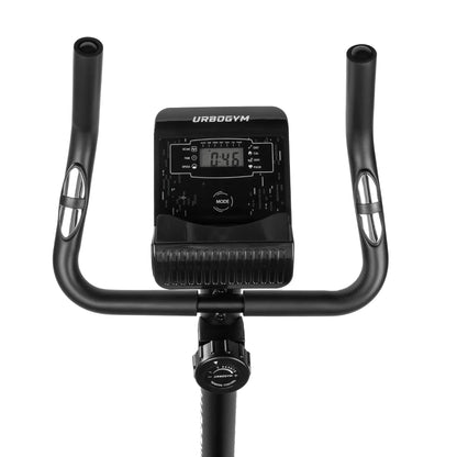 Heimtrainer Bay Green
