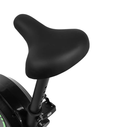 Heimtrainer Bay Green